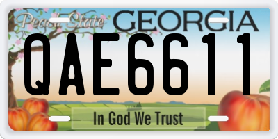 GA license plate QAE6611