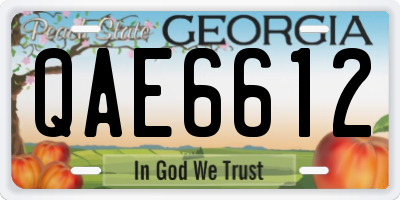 GA license plate QAE6612