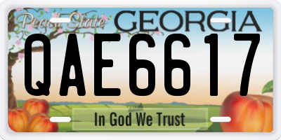 GA license plate QAE6617