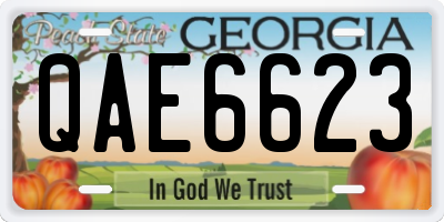 GA license plate QAE6623