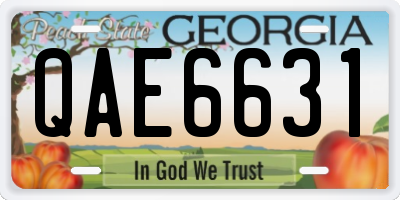 GA license plate QAE6631
