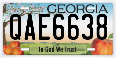 GA license plate QAE6638