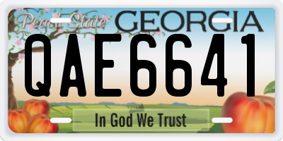 GA license plate QAE6641