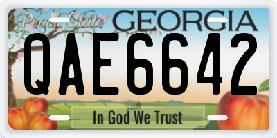 GA license plate QAE6642
