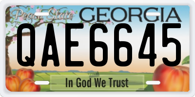 GA license plate QAE6645