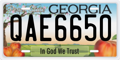 GA license plate QAE6650