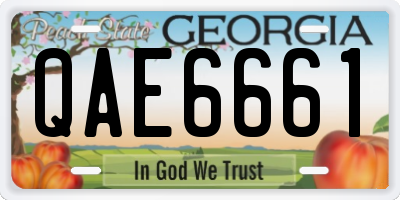 GA license plate QAE6661