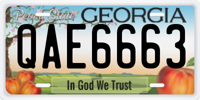 GA license plate QAE6663