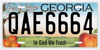 GA license plate QAE6664