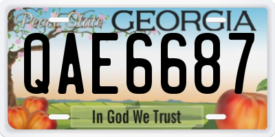 GA license plate QAE6687