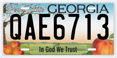 GA license plate QAE6713