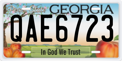 GA license plate QAE6723