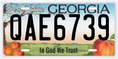 GA license plate QAE6739