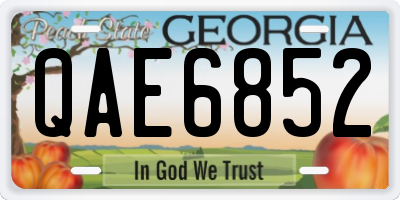 GA license plate QAE6852