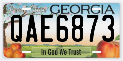 GA license plate QAE6873