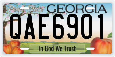 GA license plate QAE6901