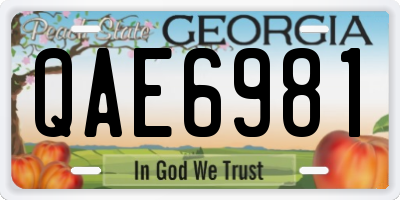 GA license plate QAE6981