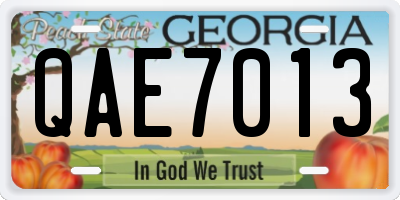 GA license plate QAE7013