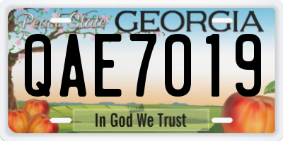 GA license plate QAE7019