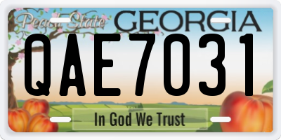 GA license plate QAE7031