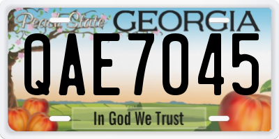 GA license plate QAE7045