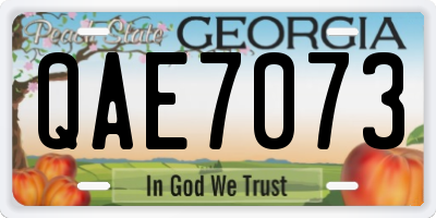 GA license plate QAE7073