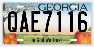 GA license plate QAE7116