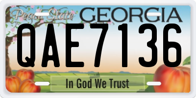 GA license plate QAE7136