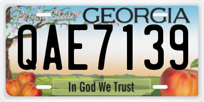 GA license plate QAE7139