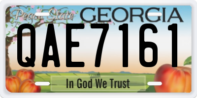 GA license plate QAE7161