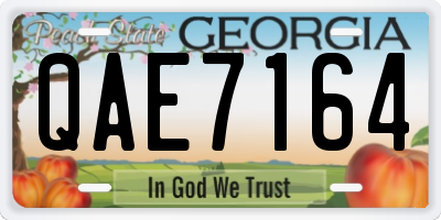 GA license plate QAE7164