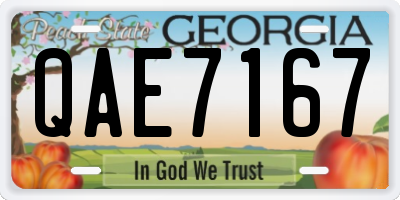 GA license plate QAE7167