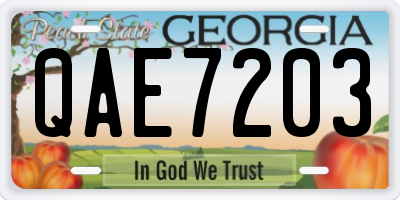 GA license plate QAE7203