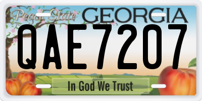 GA license plate QAE7207