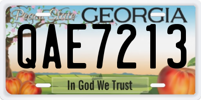 GA license plate QAE7213