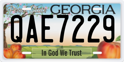 GA license plate QAE7229