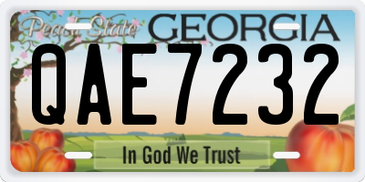 GA license plate QAE7232