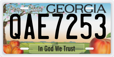 GA license plate QAE7253