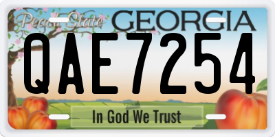 GA license plate QAE7254