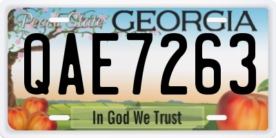 GA license plate QAE7263