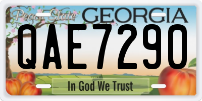 GA license plate QAE7290