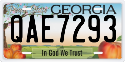 GA license plate QAE7293