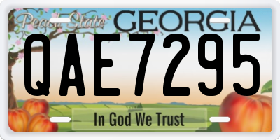 GA license plate QAE7295