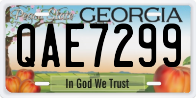 GA license plate QAE7299