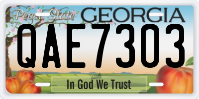 GA license plate QAE7303