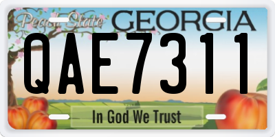 GA license plate QAE7311