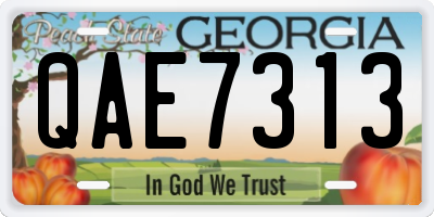 GA license plate QAE7313