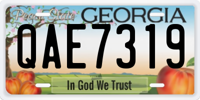 GA license plate QAE7319