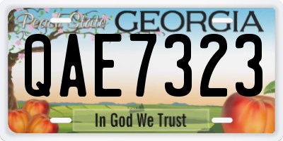 GA license plate QAE7323