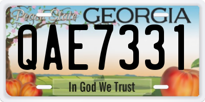 GA license plate QAE7331